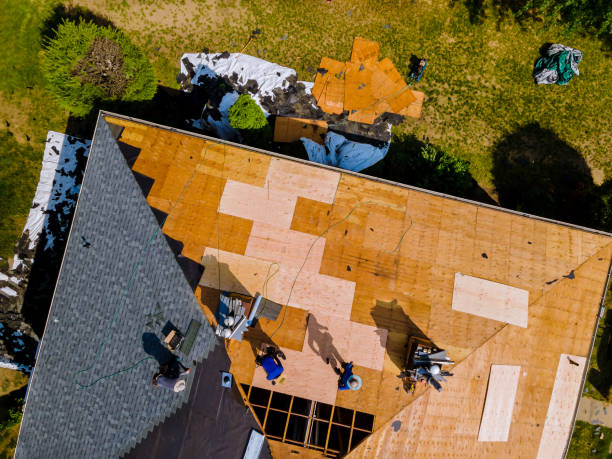 Best Storm Damage Roof Repair  in Flemington, NJ